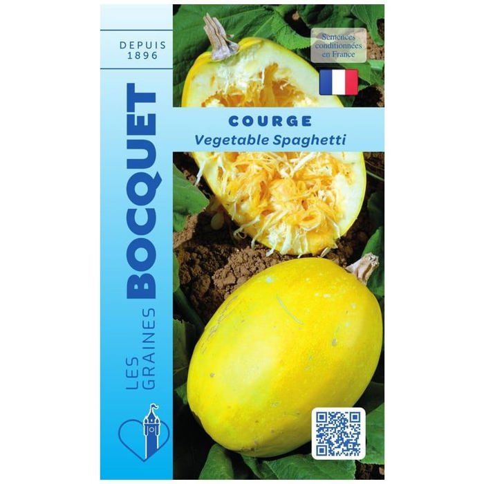 Graine - Semence - Courge Vegetable Spaghetti