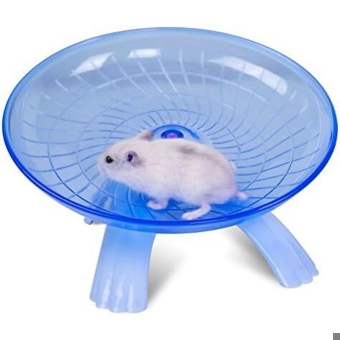 Roue DExercice En Plastique Pour Petits Animaux – Disque De Course Antidérapant Silencieux Pour Hamsters Hérissons Petits Anima