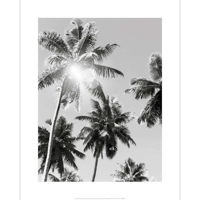 Affiche noir et blanc photo vintage Palmiers - Cdiscount Maison