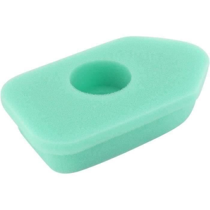 Filtre à air BRIGGS ET STRATTON 272235