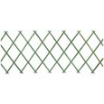 Treillis pour jardin - Trade Shop Traesio - Extensible en bois - Vert - 100x300 cm-1