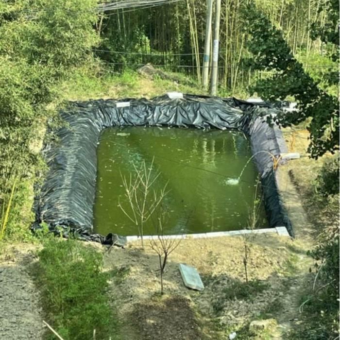 Bâche pour bassin RUMOCOVO - 6m x 4m - Facile à nettoyer et installer -  Sans danger pour plantes et poissons - Cdiscount Jardin