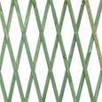 Treillis pour jardin - Trade Shop Traesio - Extensible en bois - Vert - 100x300 cm-3