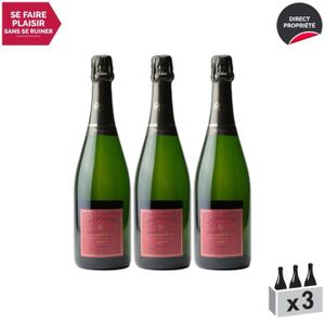 CHAMPAGNE Champagne Prestige Blanc - Lot de 3x75cl - Champagne Daubanton - Cépage Pinot Noir