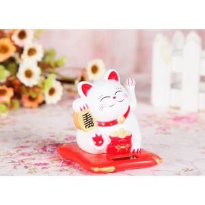 Energie Chat Cdiscount Energie Chat Cdiscount