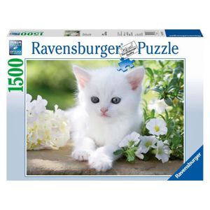 PUZZLE Puzzle Ravensburger Chaton Blanc 1500 pièces - Ani