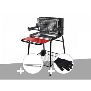 BARBECUE Barbecue vertical Raymond Somagic + Pince inox + Gant de protection