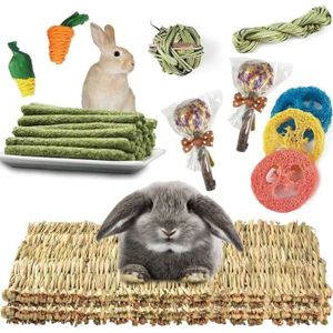 ACCESSOIRE ABRI ANIMAL Lot de 2 tapis d'herbe pour lapin avec divers jouets à mâcher en forme de lapin, tapis de lit tissé naturel pour cochon d'Inde, 271