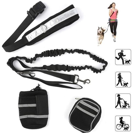 Ceinture Ventrale avec Laisse pour Chien - Nior