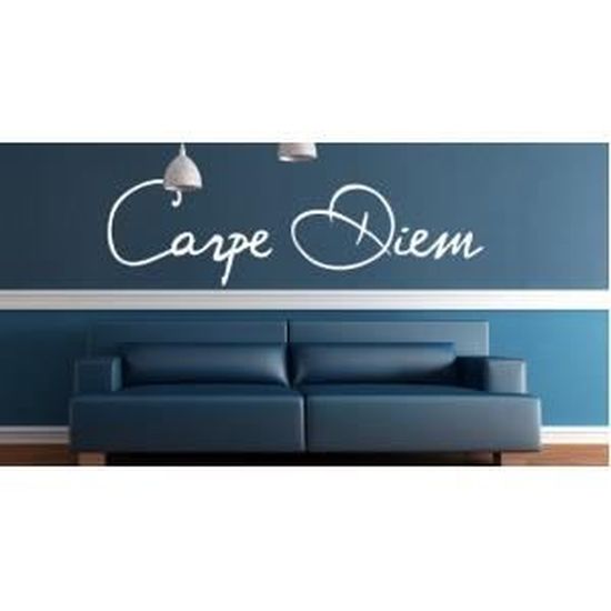 Stickers Citation Carpe Diem Couleur Rose Orientation Normale Type Unicolore Taille 94cmx27cm Cdiscount Maison