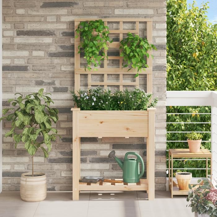 Jardinière avec treillis et étagère 71x37x152 cm en bois massif de sapin