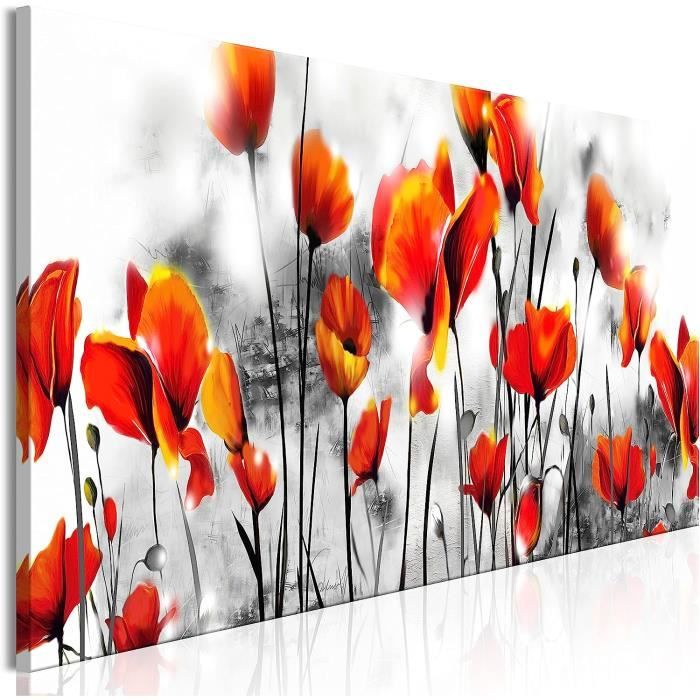 Tableau Toile 70x50cm - Impression Coquelicots Dans Une Prairie - Décoration Murale Moderne