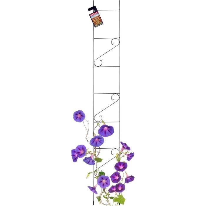 Arche De Jardin En Acier Avec Treillis - Support Pour Plantes Grimpantes, Rosiers, Idéal Pour Décorer Mariage Ou Terrasse !