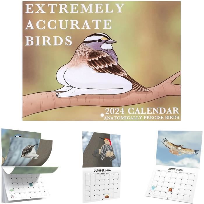 Extremely Accurate Birds Calendrier 2024 2024 Anatomique Précis Oiseaux