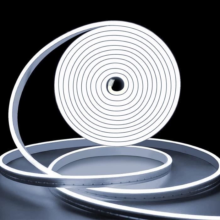 Ruban LED Néon Blanc Froid 5m - Flexible Et Découpable - Silicone IP65 - Pour Décoration Intérieur/Extérieur