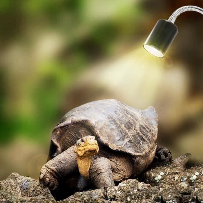 Comparer les prix de CA11730-Lampe Reptiles Lampe Tortue Terrestre Chauffante pour Aquarium Éclairages 25W UVA UVB avec Base Longue 360 Rotation