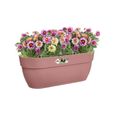 ELHO - Pot de fleurs -  Vibia Campana Easy Hanger Large - Rose Poussière - Balcon extérieur - L 24.1 x W 46 x H 26.5 cm-2