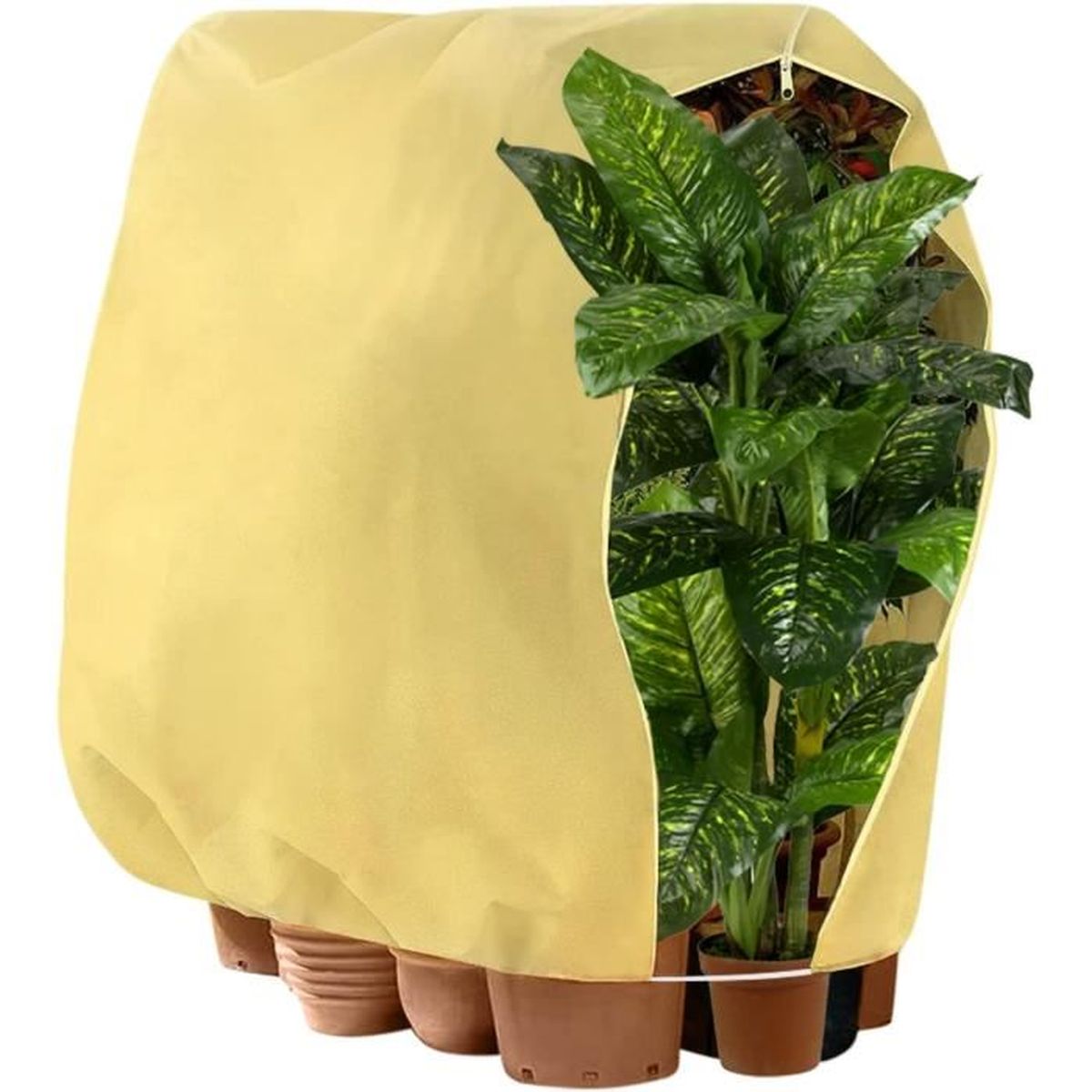 Housse Hivernage Plantes 120x80cm - Lot De 3, Voile Protection Réutilisable - 10