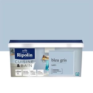 Peinture Bleu Gris