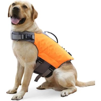 gilet nage chien