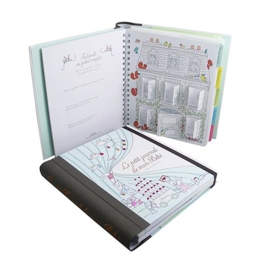 Le Petit Journal De Mon Bebe Cdiscount Librairie