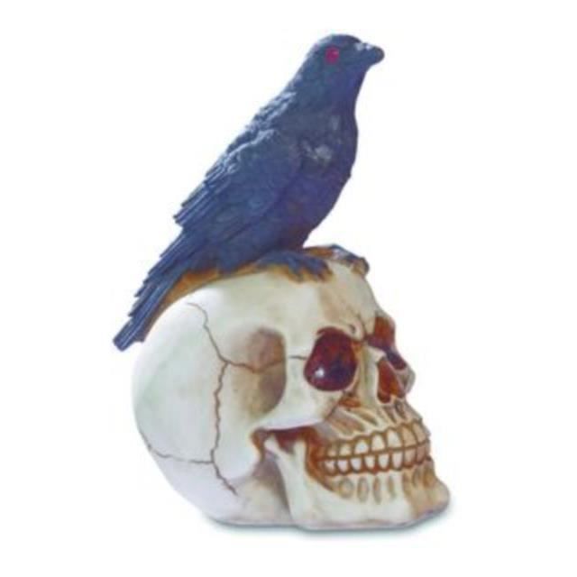 CRANE AVEC CORBEAU - Tête de mort