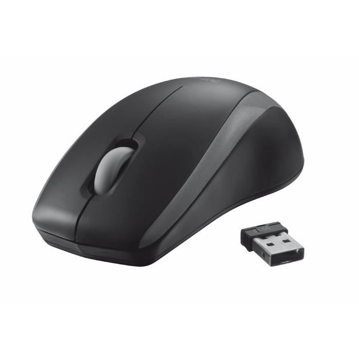 Trust Carve Souris Optique Sans Fil USB pour PC - 1000 DPI - 3 Boutons