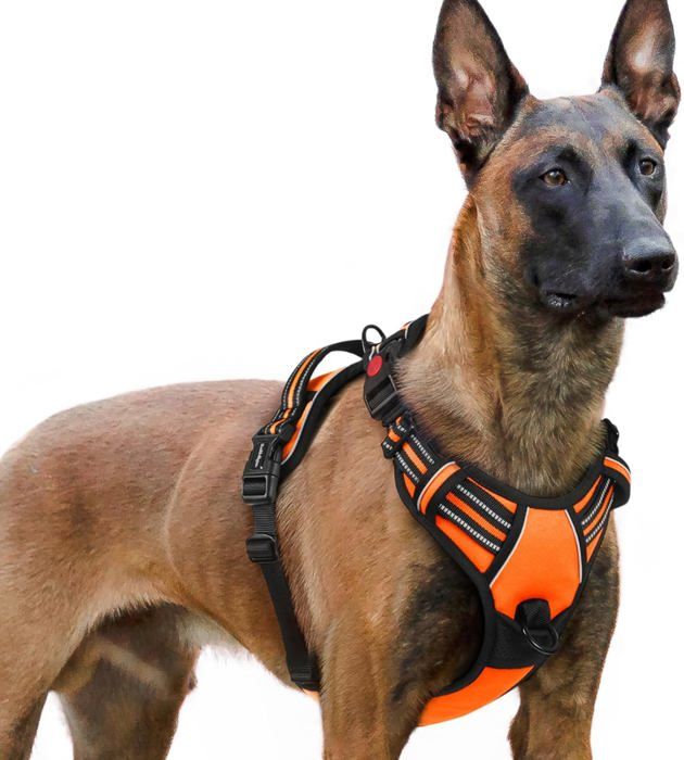 Comparer les prix de rabbitgoo Harnais Chien Anti Traction avec 3 boucles pour Chien Facile à Mettre Harnais Réfléchissant Réglable pour Chien orange XL
