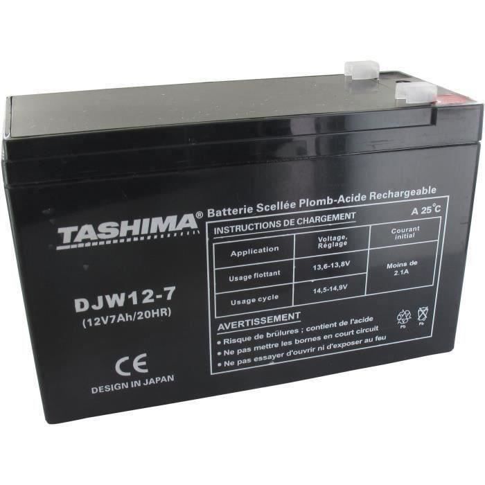 Batterie DJW127 + à gauche pour CASTELGARDEN - FLYMO - ROVER - WOLF