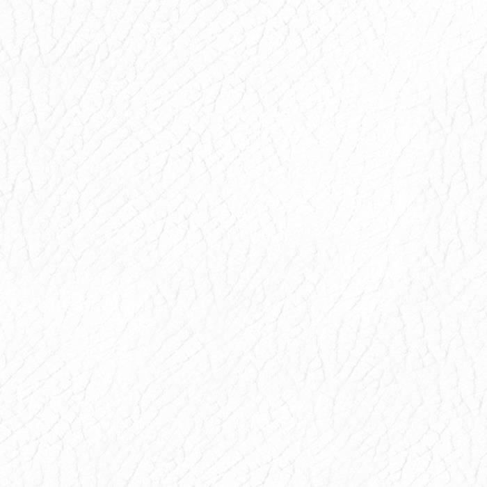 Recoloreur Cuir DIRECT COLOR - 250ml Blanc Sans Décapage Pour Canapé, Fauteuil