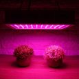 1000W  Lampe Led Horticole Floraison Lampe--Full Spectrum Hydro LED élèvent la lumière pour Plantes,Fleurs et Légumes  -V-HB065-3