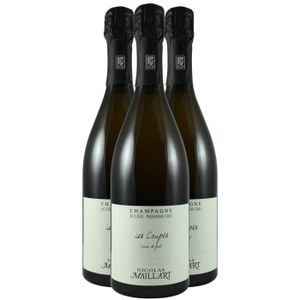 CHAMPAGNE Champagne Premier Cru Les Coupés Franc de Pied - B