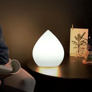 LAMPE A POSER Lampe De Table Sans Fil Lampe De Nuit Led Intérieu