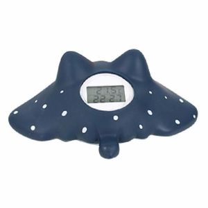 Badabulle Thermometre De Bain Raton Laveur Thermometres De Bain Bebe Puericulture Dwteam In