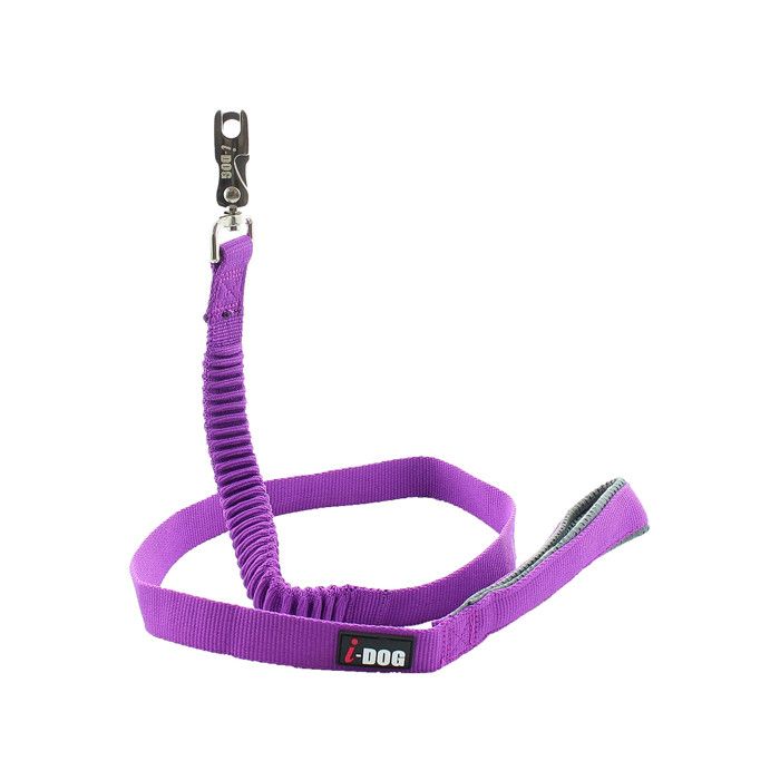 I DOG Laisse Confort - L 120 cm - Violet et gris - Pour chien