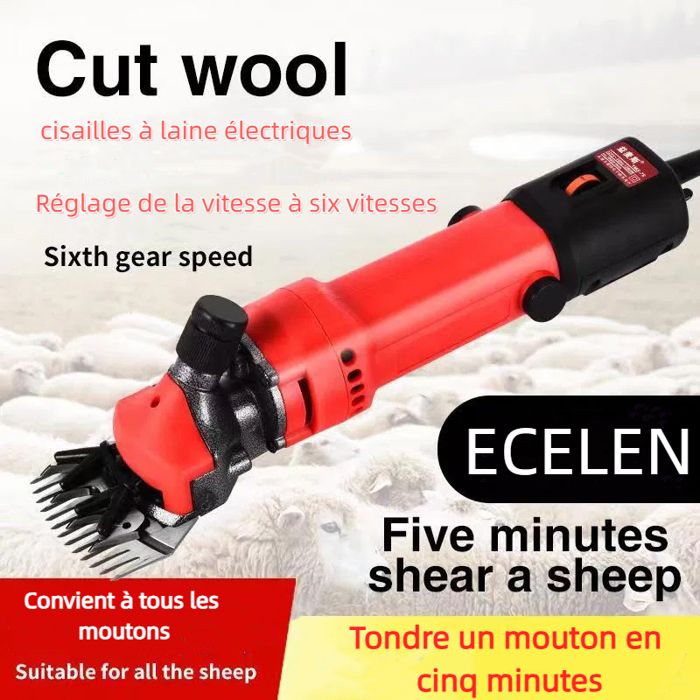Meilleurs prix pour ECELEN-Tondeuse à moutons électrique 220V-tondeuse laine puissante pour moutons-chèvres-alpaga–Lame remplaçable-orange