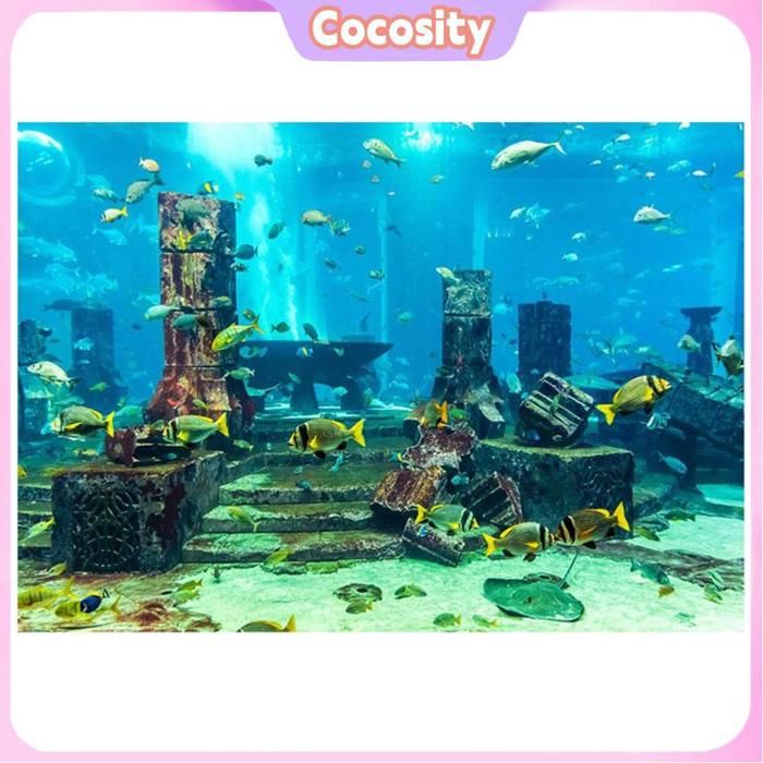 Meilleurs prix pour Cocosity Fond daquarium sous leau Fond daquarium corallium sous-marin affiche de pêche de pêche animalerie decor 122 * 46cm