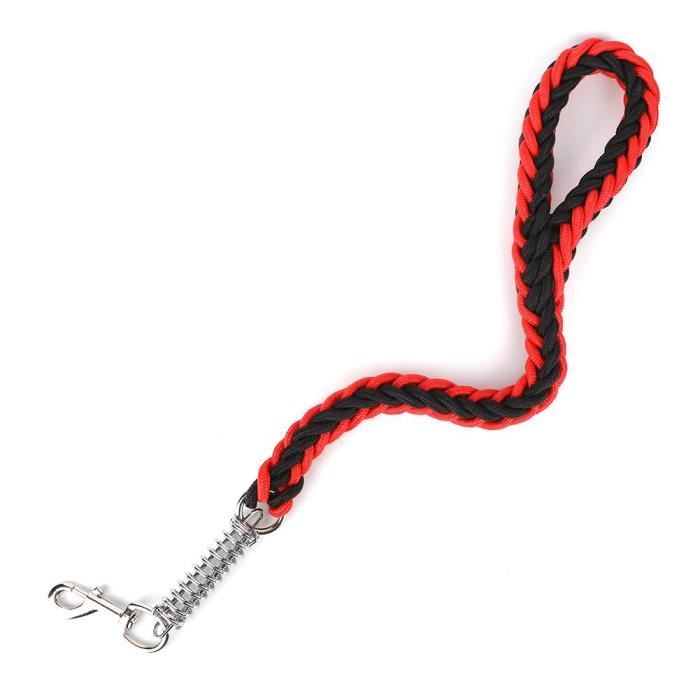 Licol pour cheval et laisse en cuir nylon ANKY ANKY
