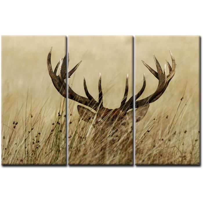 Tableau Sur Toile Cerf Moderne - Impression 70x50cm Décoration Murale Salon Chambre Impression Toile Premium 70x50