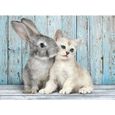 Puzzle Animaux - Clementoni - 500 pièces - Cat & Bunny - Blanc, Bleu et Gris - 16 ans et plus-1