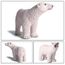 Ours Polaire Réaliste Animal Sauvage Modèle Figurine Figurine Enfants