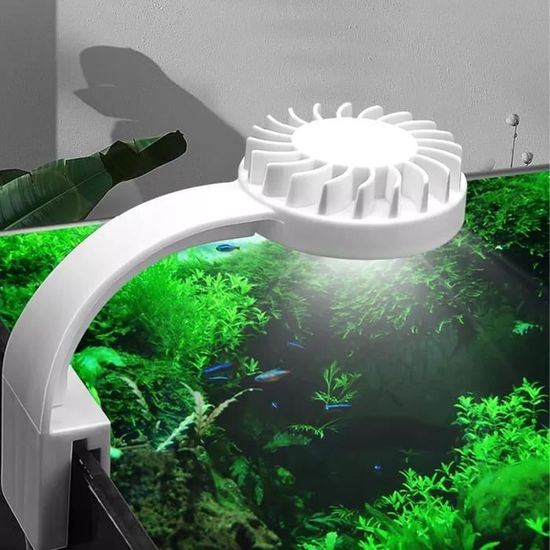 Lampe d'aquarium à spectre complet, petite lampe clip pour aquarium à  poissons avec 2 LED bleues 10 blanches, luminosité 5W, épaisseur 3 - 5mm  (noir)