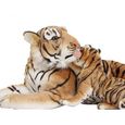 Brubaker - Peluche tigre et son bébé - 100 cm - Brun-0