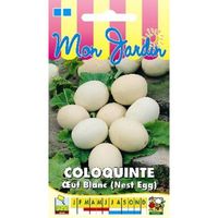 Sachet de  Coloquinte Oeuf Blanc (Nest Egg) - 3 g - légume décoratif - LES GRAINES BOCQUET