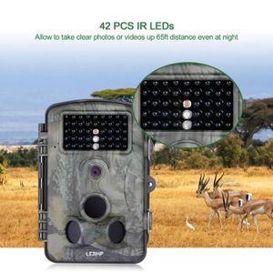 Campark Mini cam/éra de Trail de Petite Taille 12 MP 1080p HD avec Objectif Grand Angle 120 /° et Vision Nocturne LED Infrarouge LCD 6,3 cm