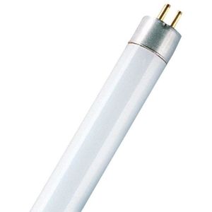 AMPOULE - LED Tube fluo cq10 t5 6W 640 D.16 G5
