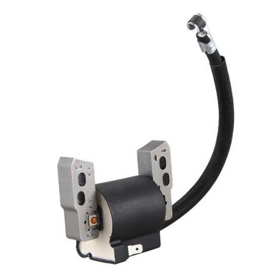 Bobine D'allumage Pour Moteur Briggs & Stratton - Compatible Tondeuses Autoportées Vanguard 6.5CV, Cub Cadet, Craftsman - 8