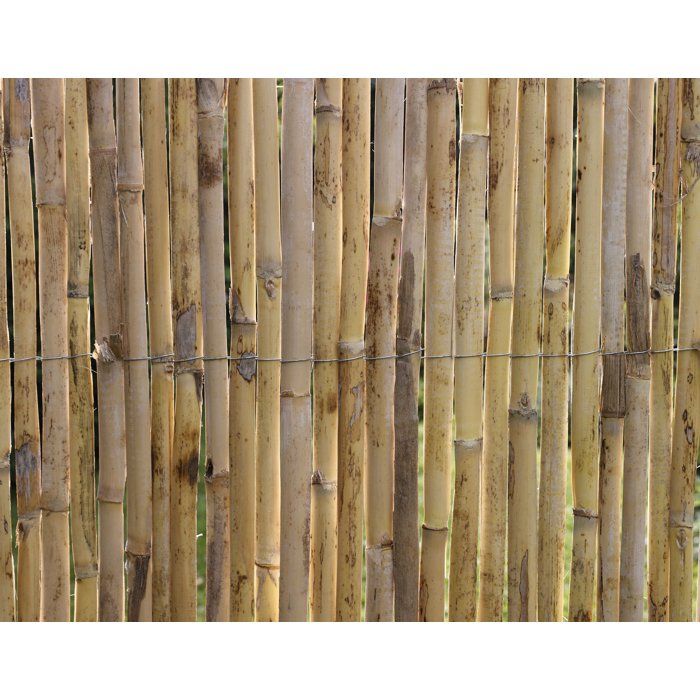 Canisse - NATURE - Roseaux fendus naturels Premium - 3 x 1 m