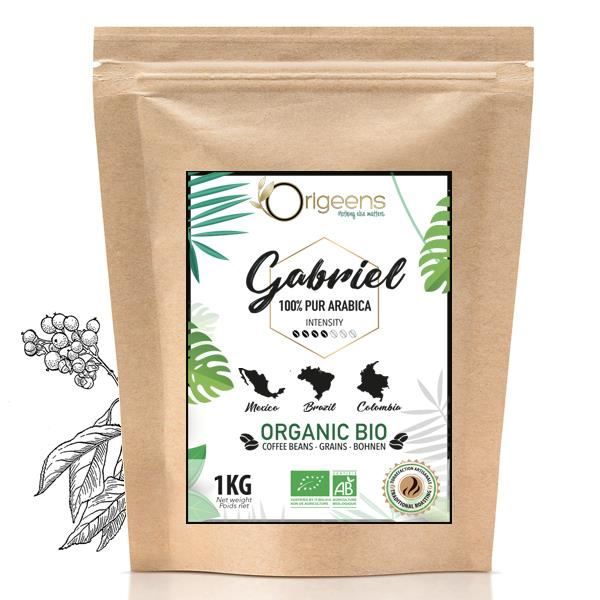 ☘️ CAFE GRAIN BIO 1kg - Café en Grain Arabica - Torréfaction Artisanale - Gabriel