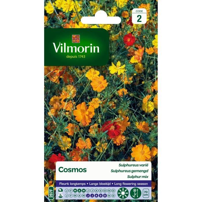 VILMORIN Cosmos Sulphureus varié